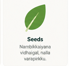 Seeds