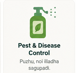 Pest & Disease Control