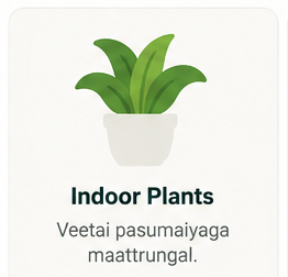 Indoor plants