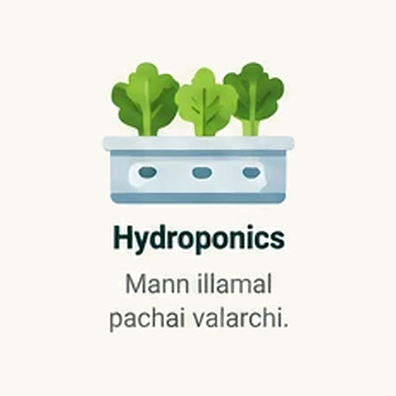 Hydroponics