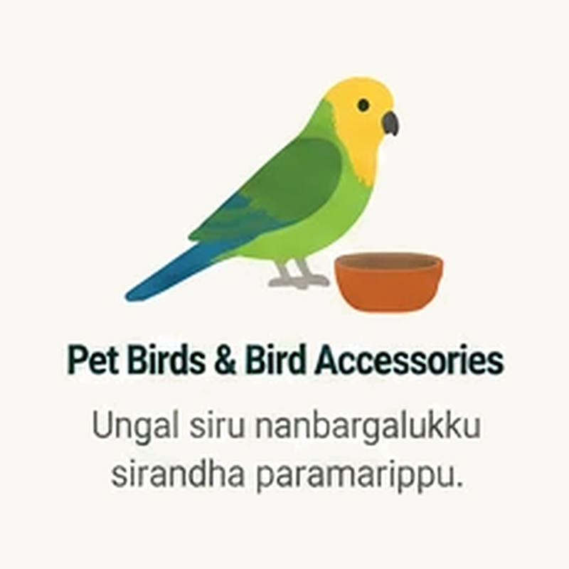 Pet Birds & Bird Accessories