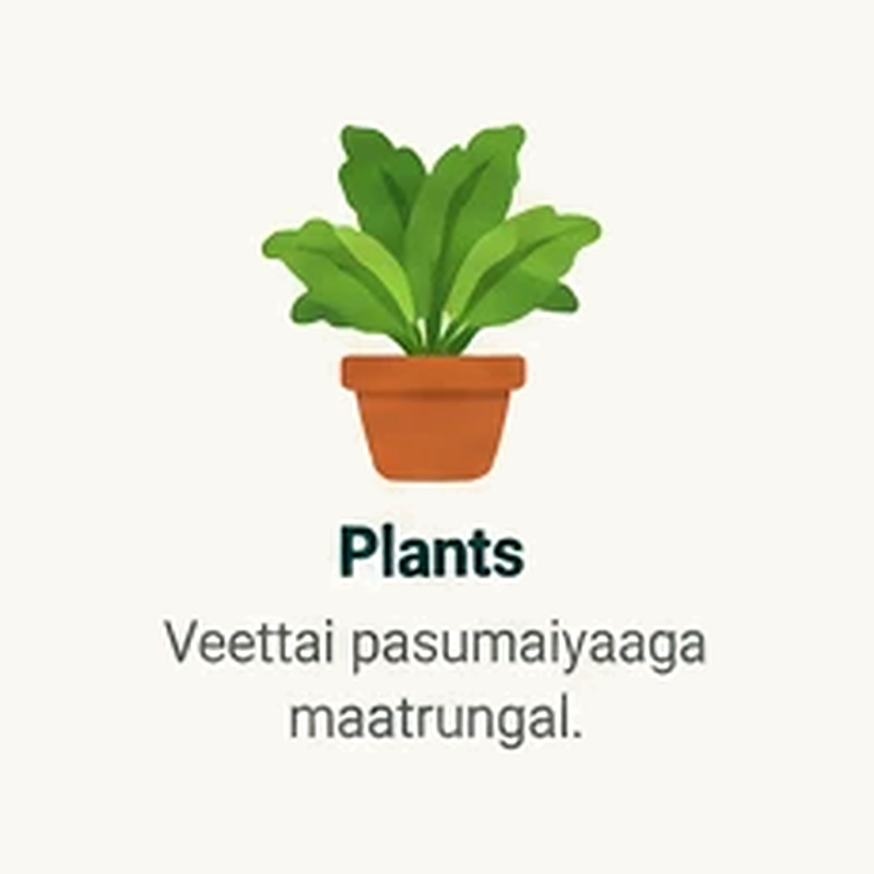 Plants