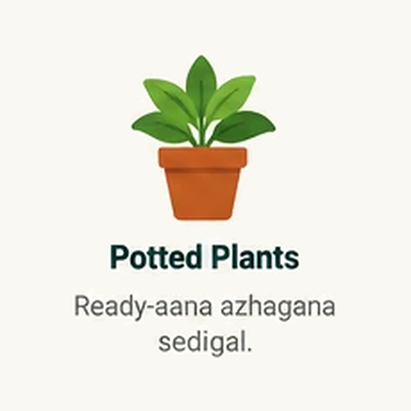 Potted Plants