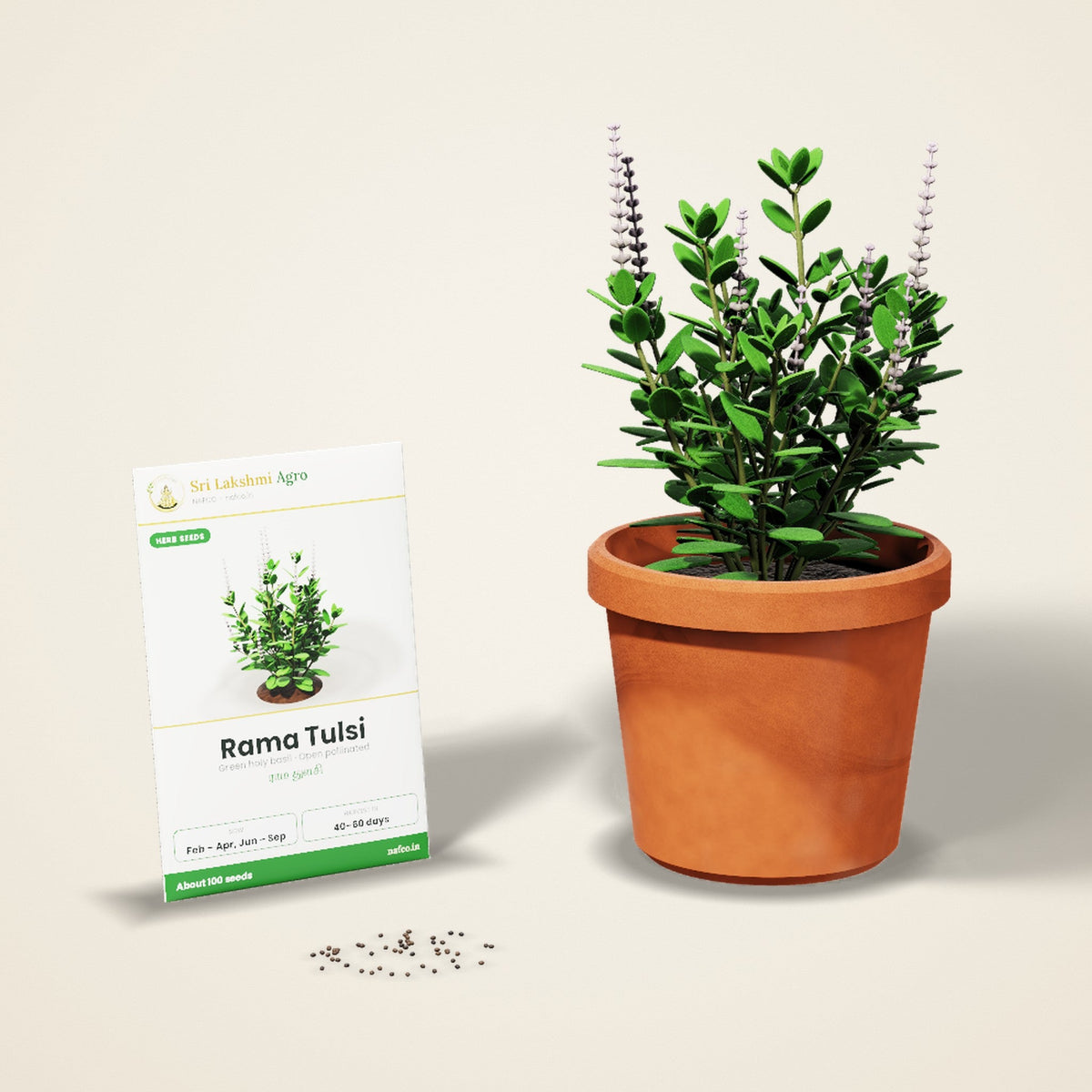 Herb seeds – Sri Lakshmi Agro