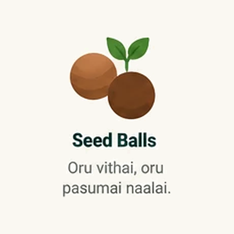 Seed Balls