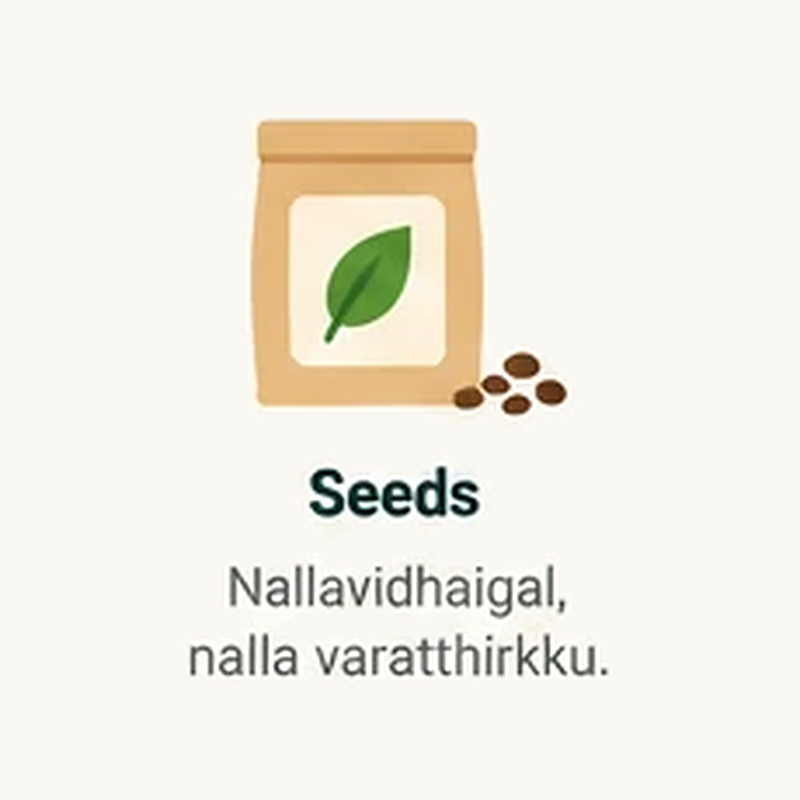 Seeds