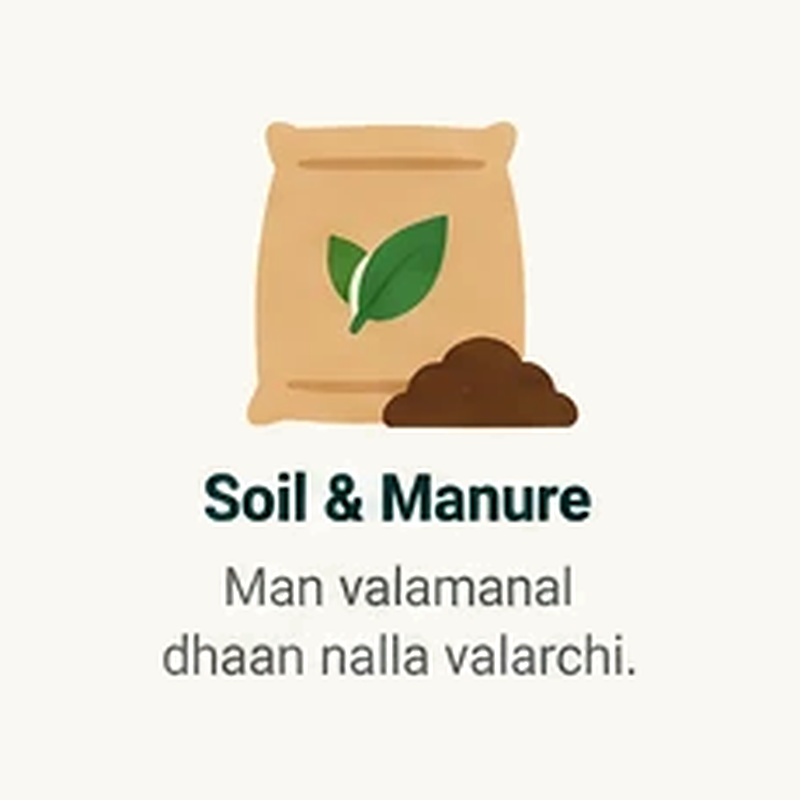 Soil & Manure