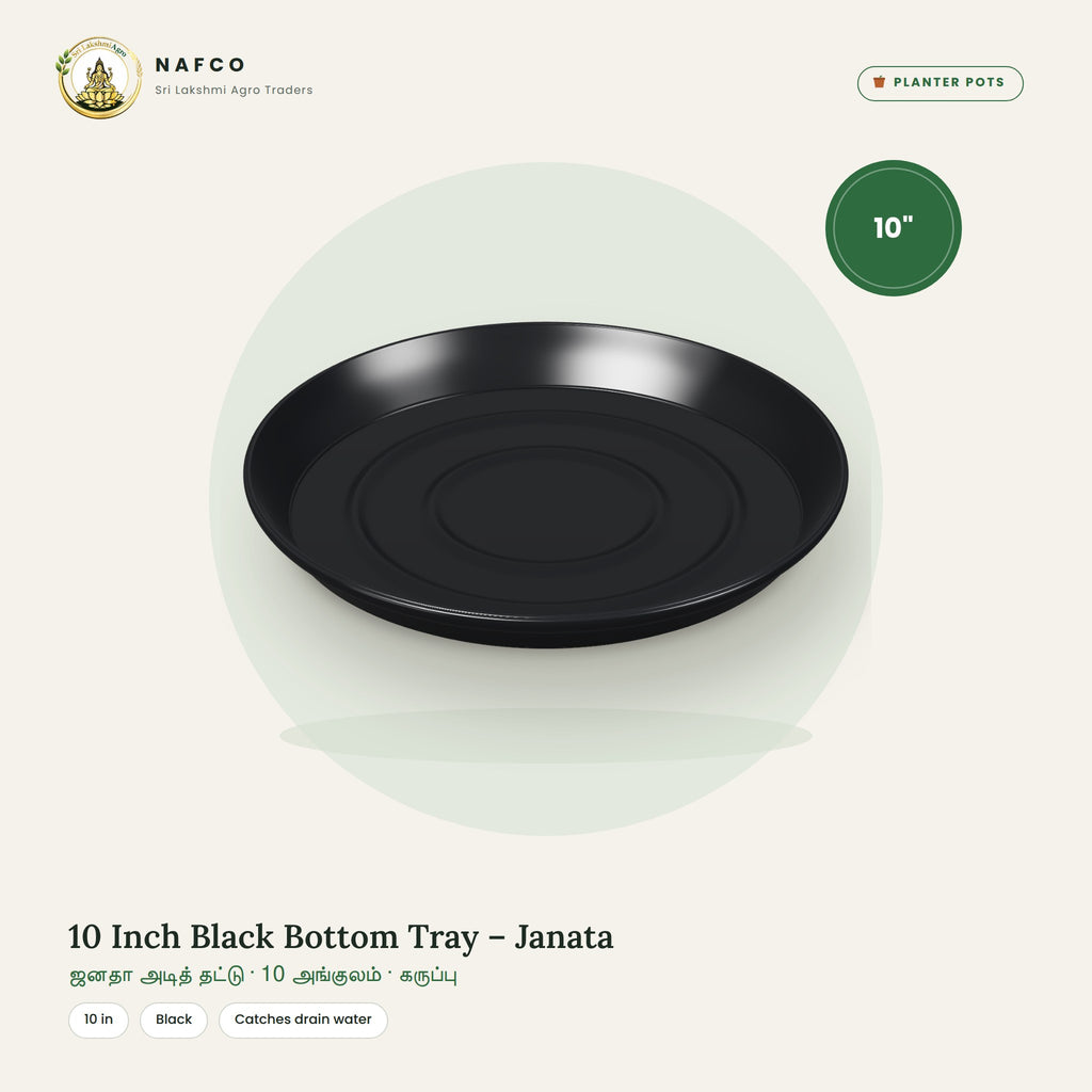 10 Inch Black Bottom Tray – Janata