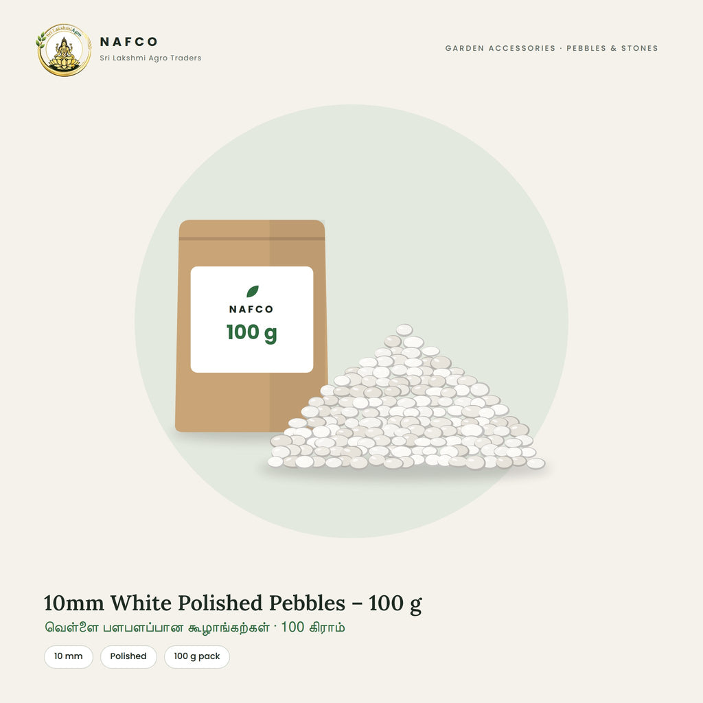 10mm White Polished Pebbles – 100 g