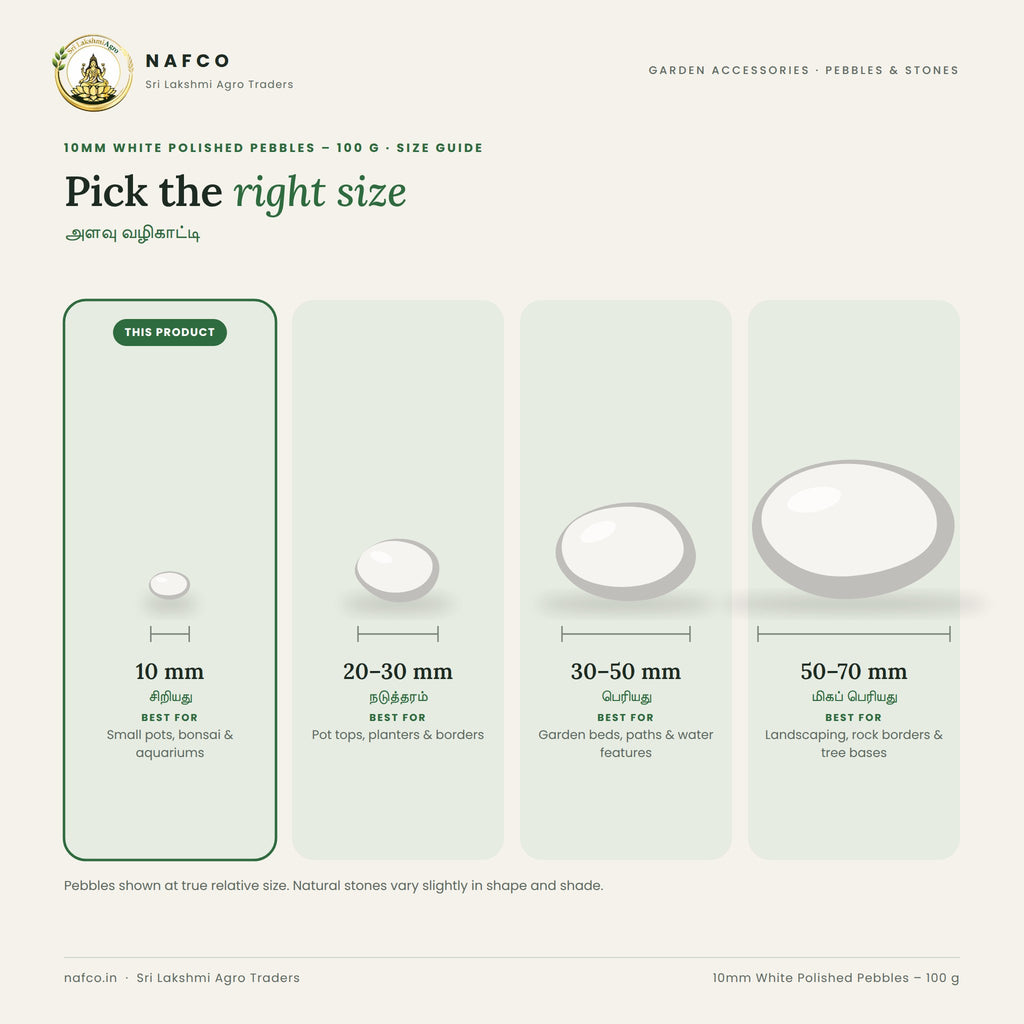 10mm White Polished Pebbles – 100 g – size guide