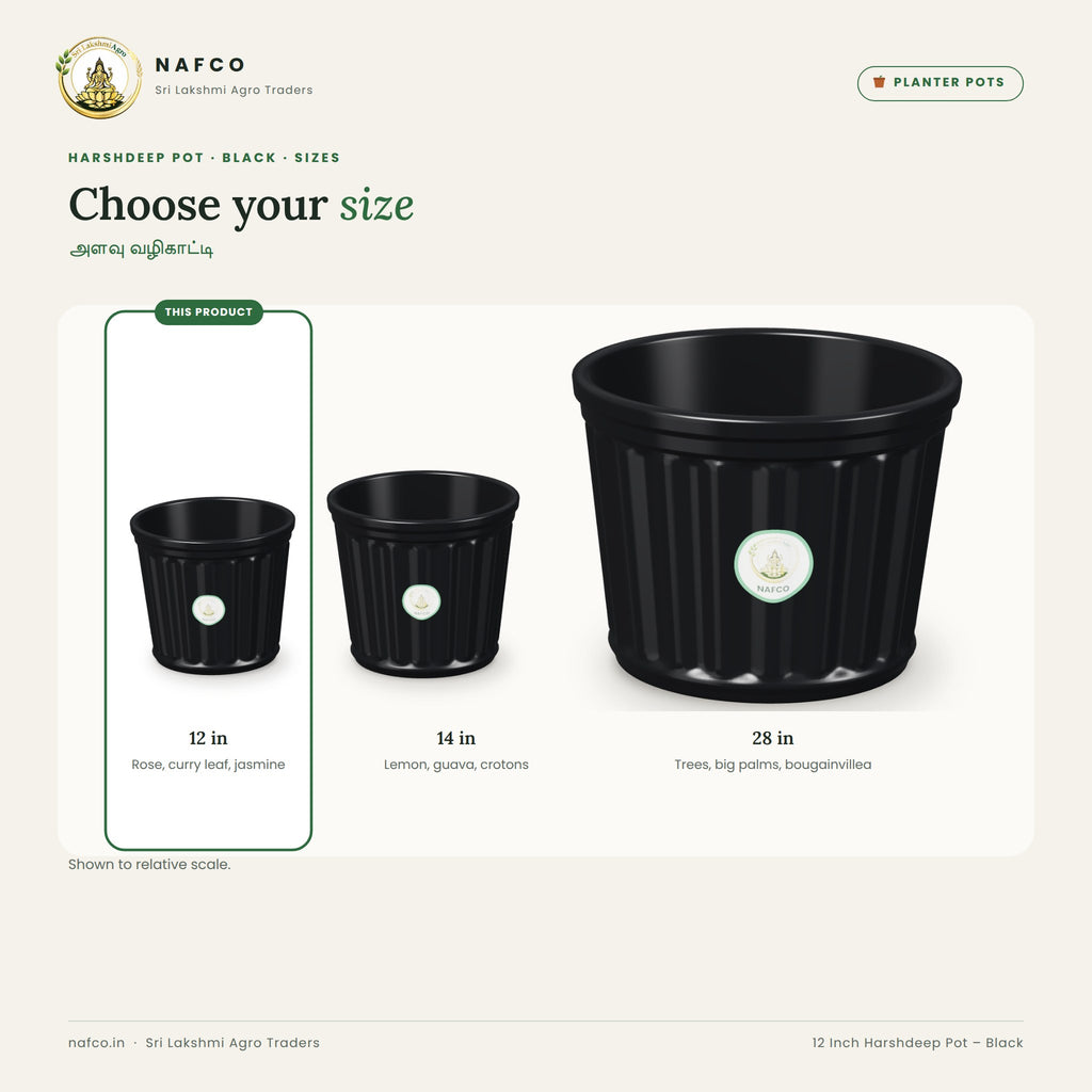 12 Inch Harshdeep Pot – Black – size guide