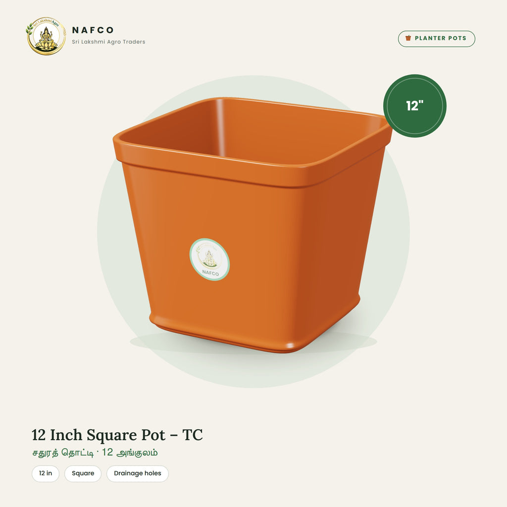 12 Inch Square Pot – TC