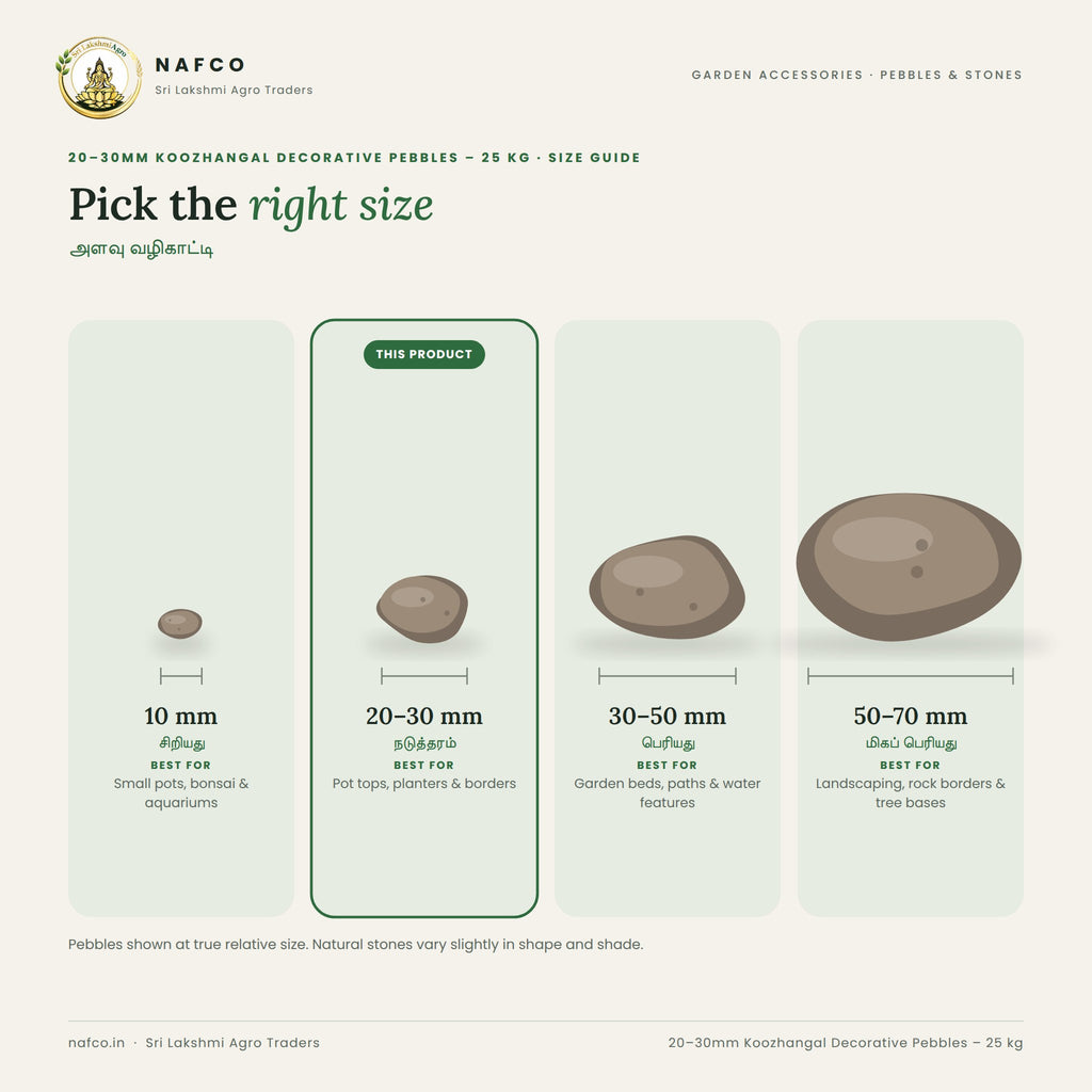 20–30mm Koozhangal Decorative Pebbles – 25 kg – size guide