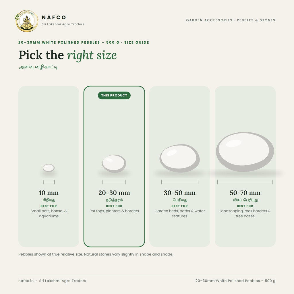 20–30mm White Polished Pebbles – 500 g – size guide