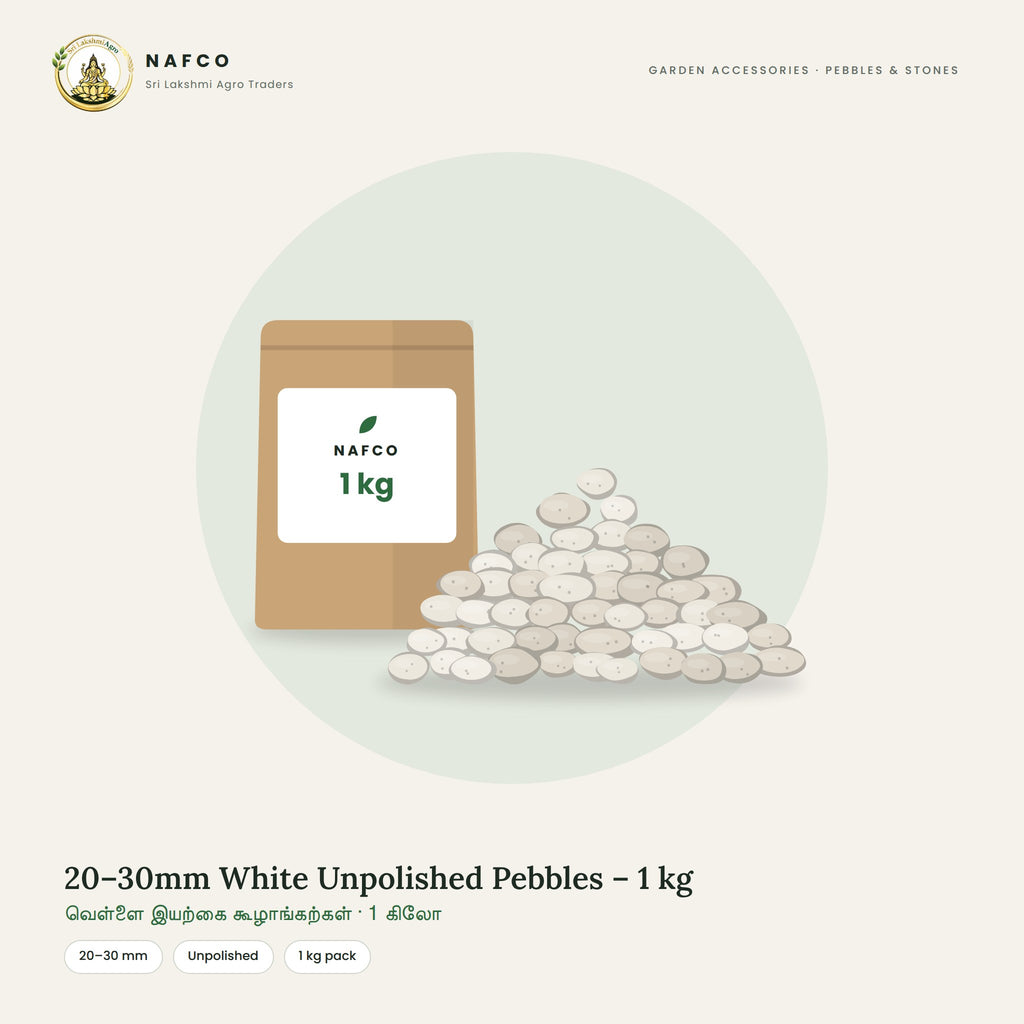 20–30mm White Unpolished Pebbles – 1 kg