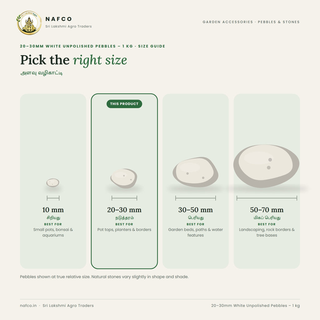 20–30mm White Unpolished Pebbles – 1 kg – size guide