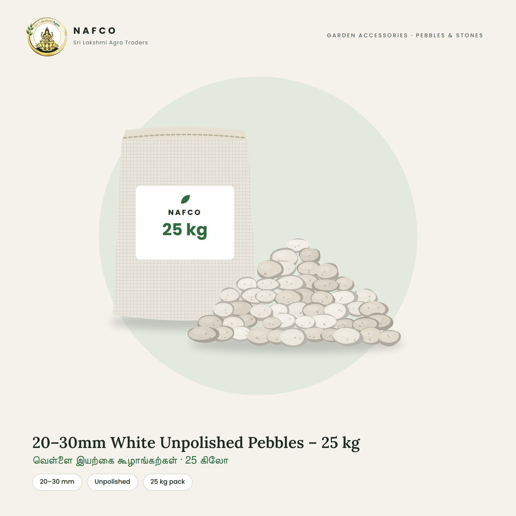 20–30mm White Unpolished Pebbles – 25 kg
