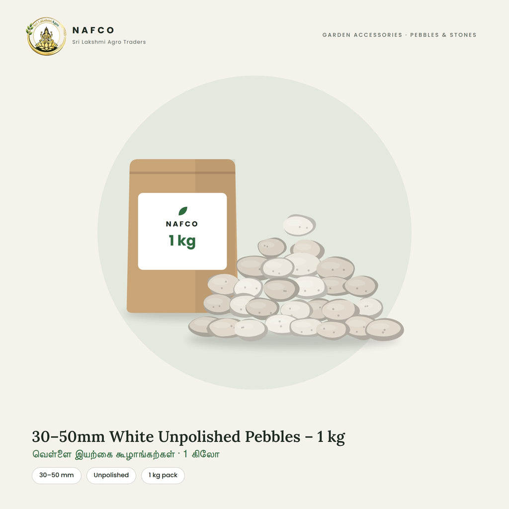30–50mm White Unpolished Pebbles – 1 kg