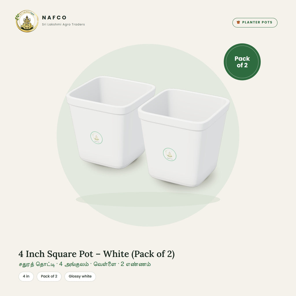 4 Inch Square Pot – White (Pack of 2)
