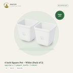 4 Inch Square Pot – White (Pack of 2)