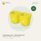 4 Inch Square Pot – Yellow (Pack of 2)
