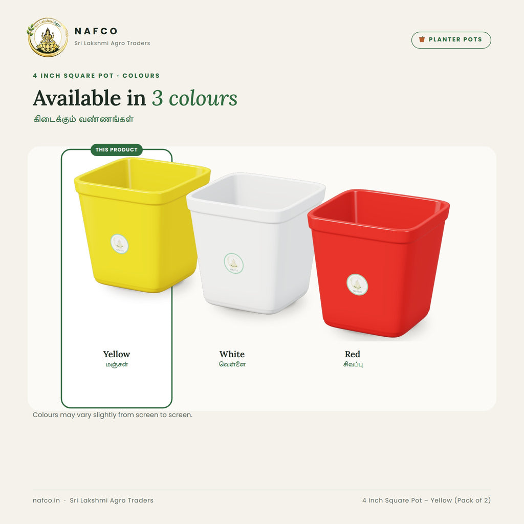 4 Inch Square Pot – Yellow (Pack of 2) – colour guide