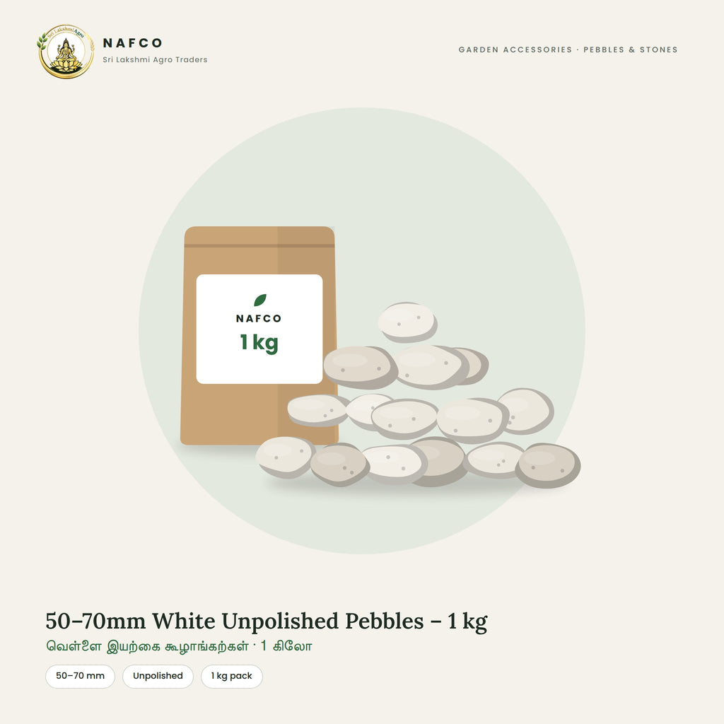 50–70mm White Unpolished Pebbles – 1 kg