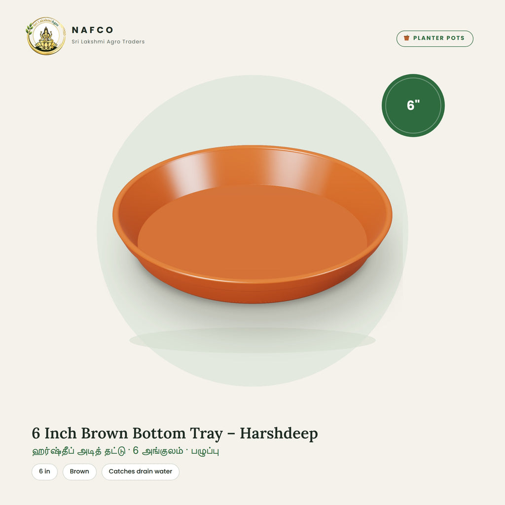 6 Inch Brown Bottom Tray – Harshdeep