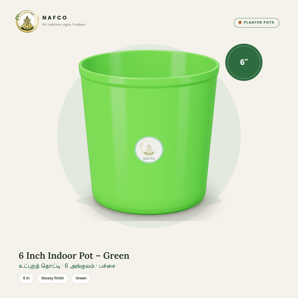 6 Inch Indoor Pot – Green