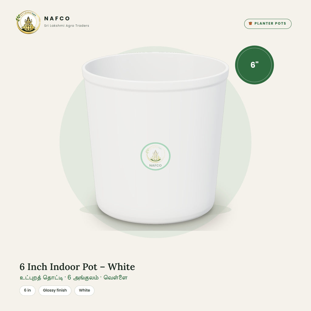 6 Inch Indoor Pot – White