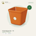 6 Inch Square Pot – TC
