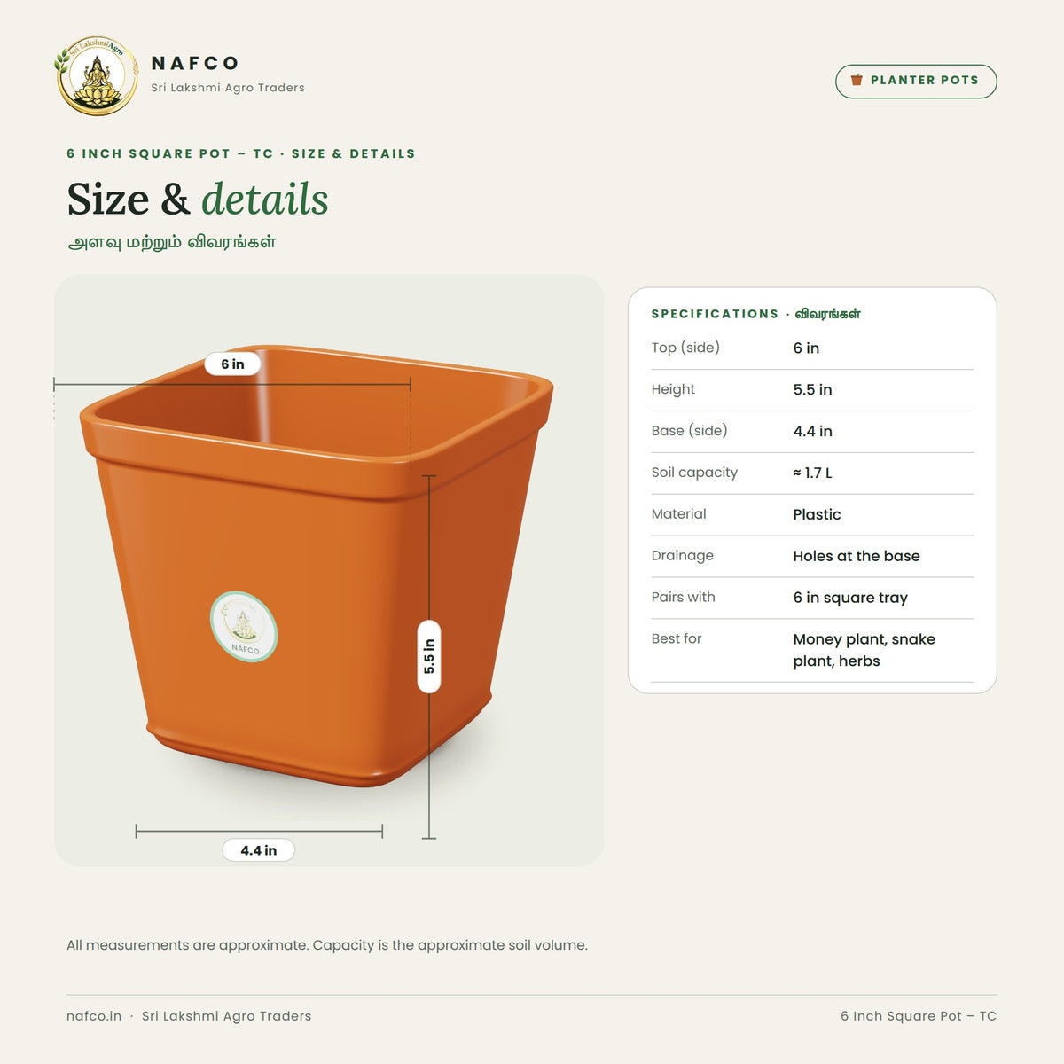 6 Inch Square Pot – TC – size and details