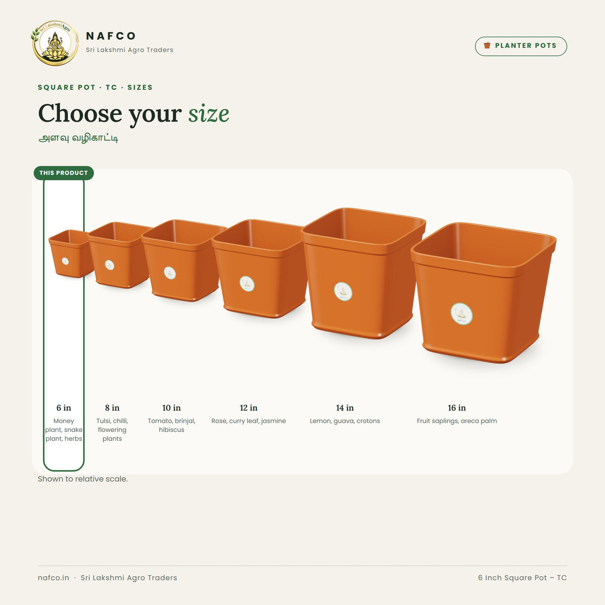 6 Inch Square Pot – TC – size guide