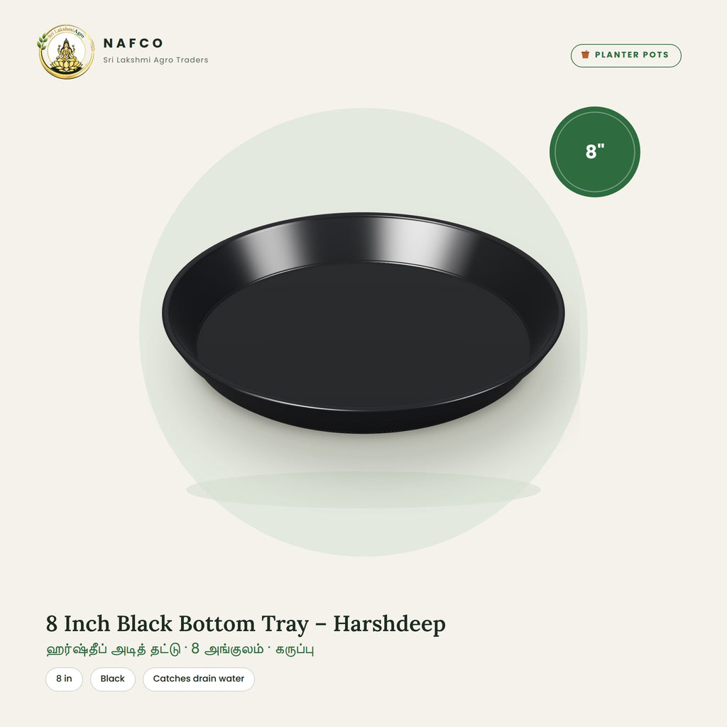 8 Inch Black Bottom Tray – Harshdeep