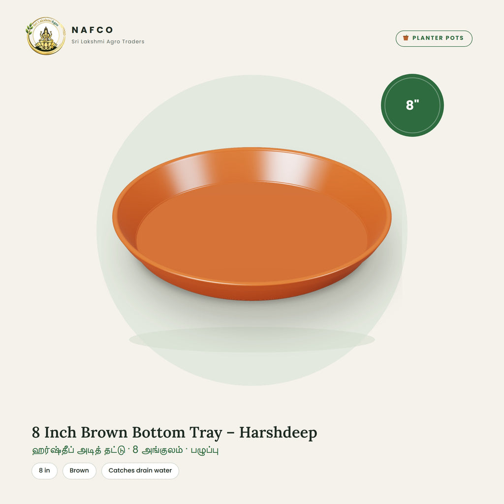 8 Inch Brown Bottom Tray – Harshdeep