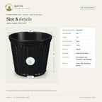 8 Inch Shera Pot – Black – size and details