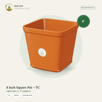 8 Inch Square Pot – TC