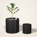 Air-Pruning Root Pot (Air Pot)