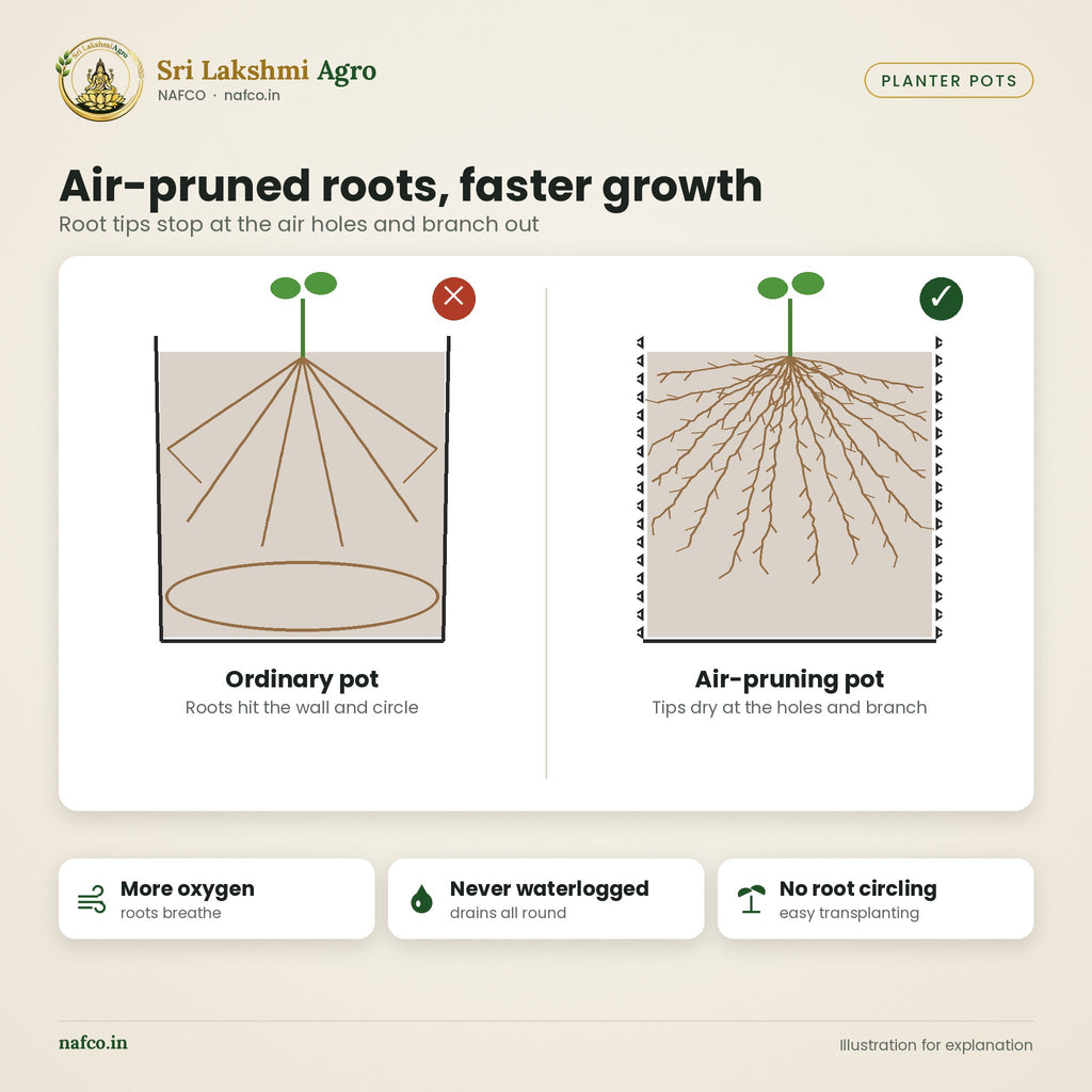 Air-Pruning Root Pot (Air Pot) – features