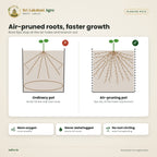 Air-Pruning Root Pot (Air Pot) – features