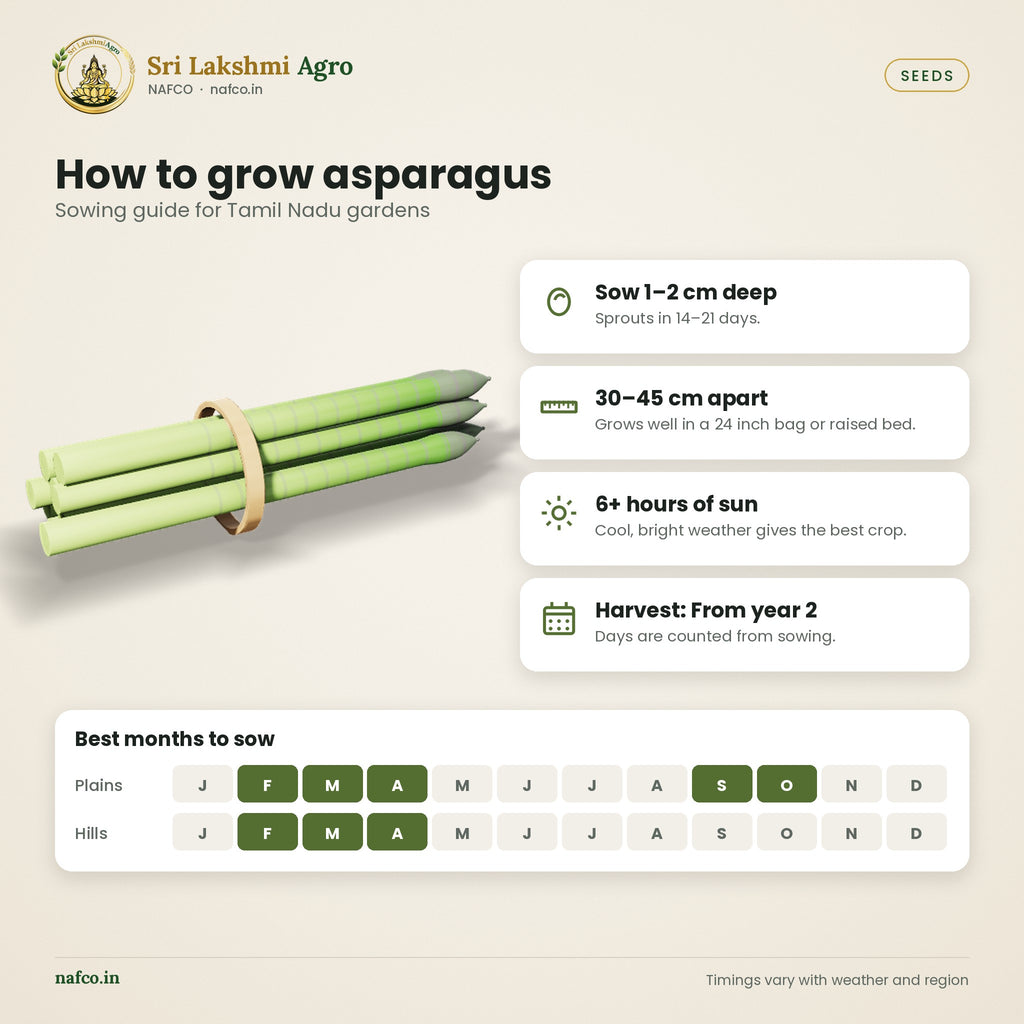 Asparagus Seeds – Mary Washington – sowing guide