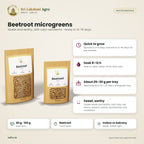 Beetroot Microgreen Seeds – features
