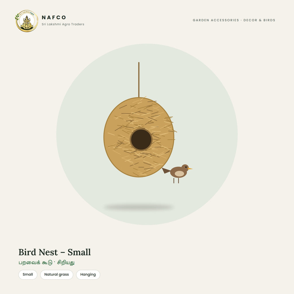 Bird Nest – Small