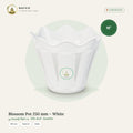 Blossom Pot 250 mm – White