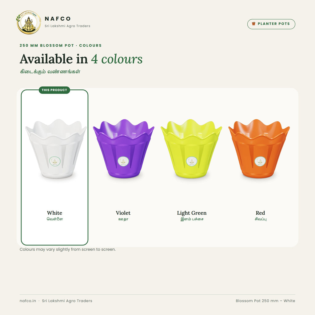 Blossom Pot 250 mm – White – colour guide