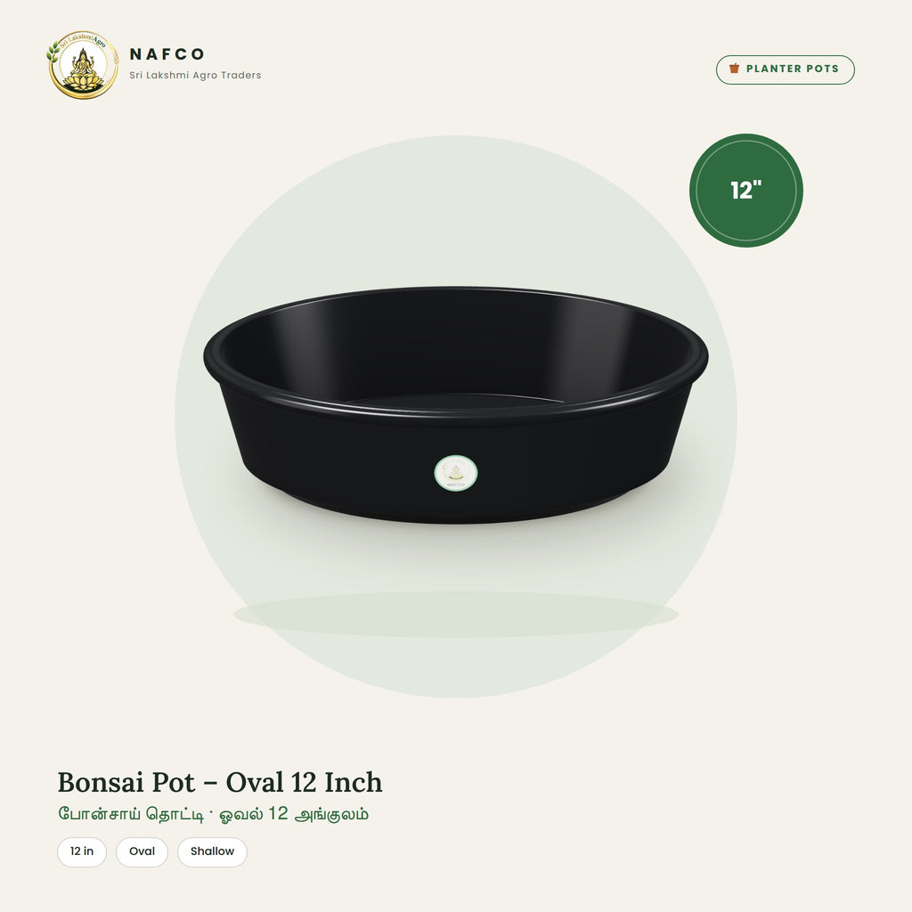 Bonsai Pot – Oval 12 Inch