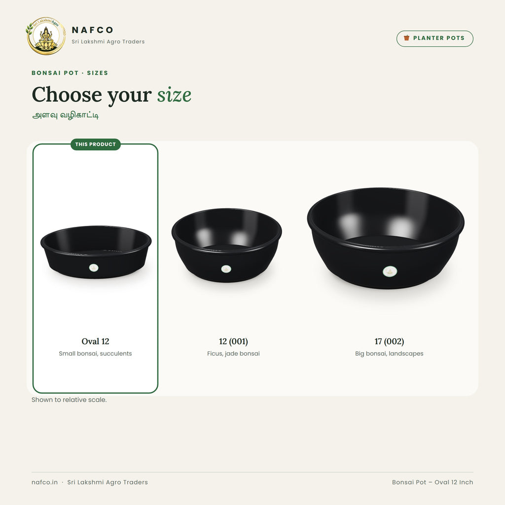 Bonsai Pot – Oval 12 Inch – size guide