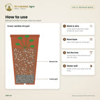 Bonsai Soil Mix – how to use