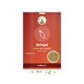 Brinjal Seeds – Green Long: Sri Lakshmi Agro seed packet with a window showing the seeds