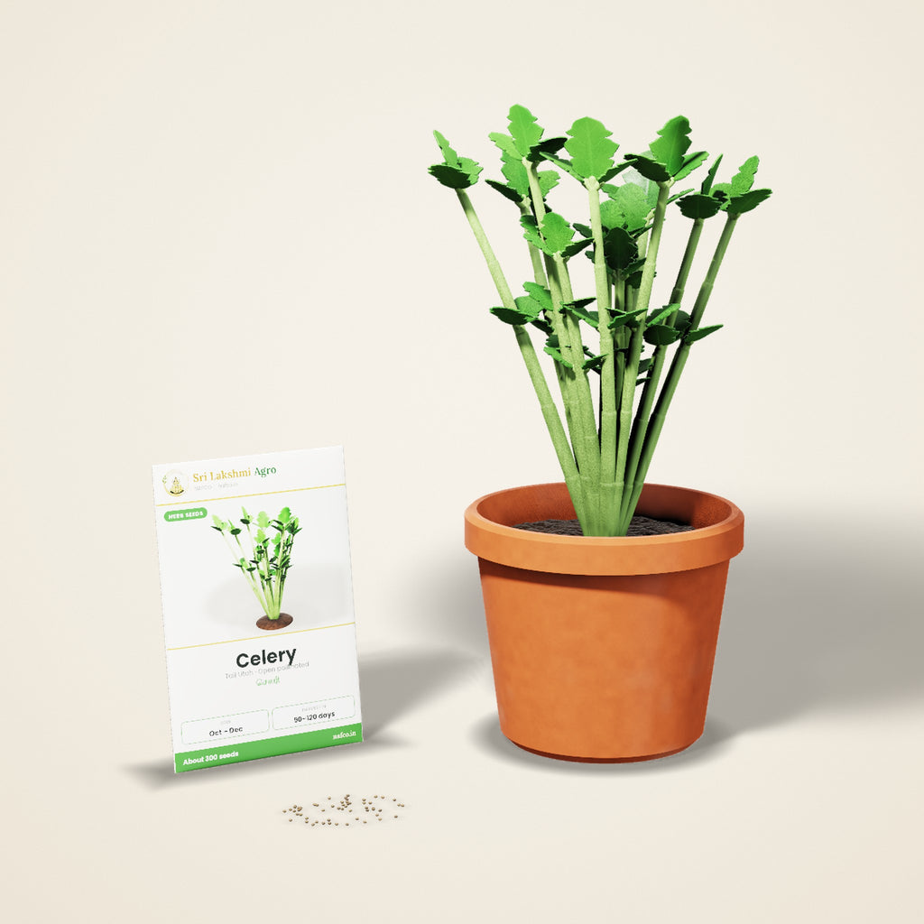 Celery Seeds – Tall Utah